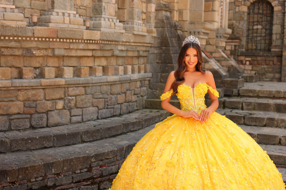 AMARRA Quinceañera Dress Style 54239